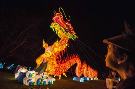 “歪果仁”为中国年操碎了心英国小伙伴抢不到红包，暴躁了！