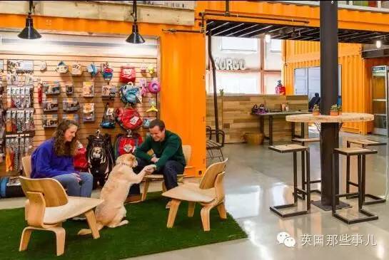 一家可以带狗上班的公司，感觉他们那的地位..人没狗高..