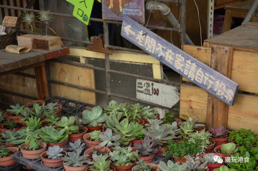 找回“过日子”的感觉，就在台南！