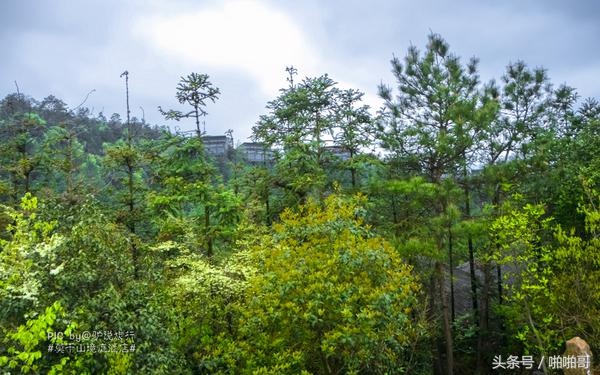莫干山网红民宿裸心谷的山野秘境,莫干山裸心谷民宿价格
