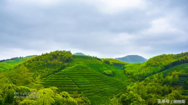 莫干山网红民宿裸心谷的山野秘境,莫干山裸心谷民宿价格
