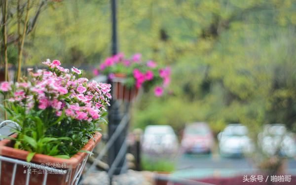 莫干山网红民宿裸心谷的山野秘境,莫干山裸心谷民宿价格