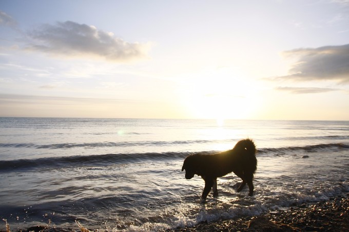 西北归来，我想说给你听，青海甘肃西安华山11天