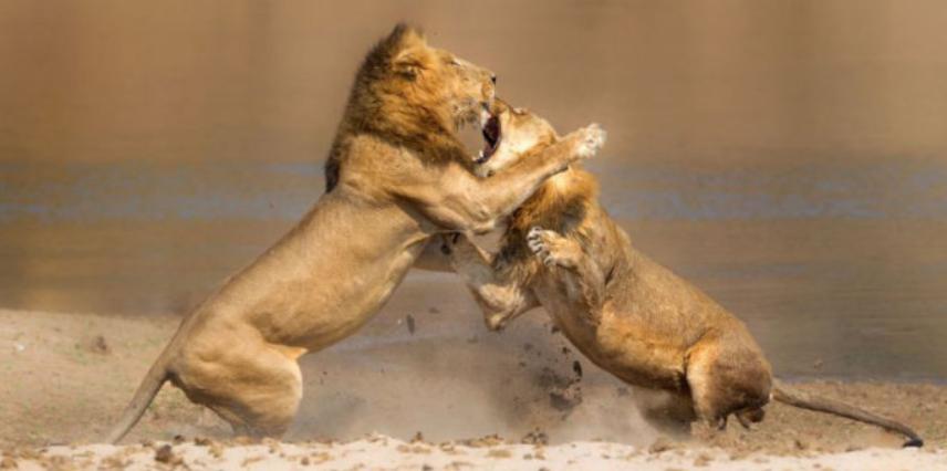 商战历史,商战史记