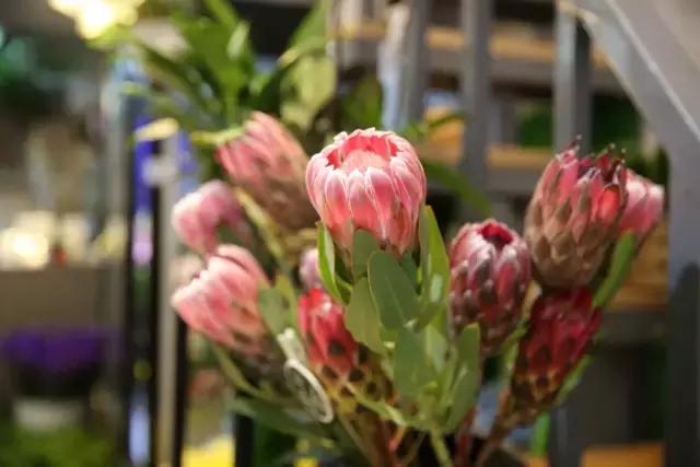 宜昌居然还有这样“见不得人”的花花世界？