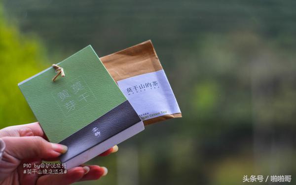 莫干山网红民宿裸心谷的山野秘境,莫干山裸心谷民宿价格