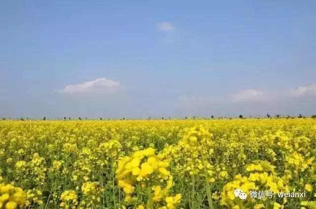 安溪最好看的风景,安溪哪个风景好