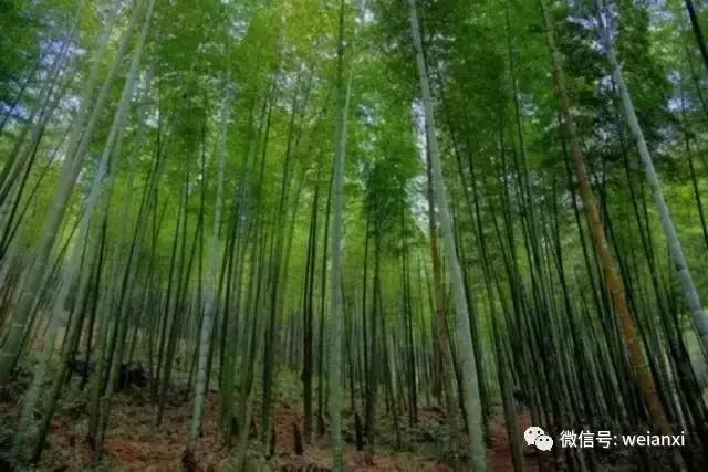 安溪最好看的风景,安溪哪个风景好