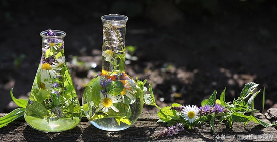 未来进口保健品发展趋势,新款保健品如何快速打开市场