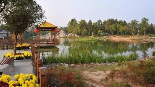 国家花木博览园旅游攻略,花木博览园一日游