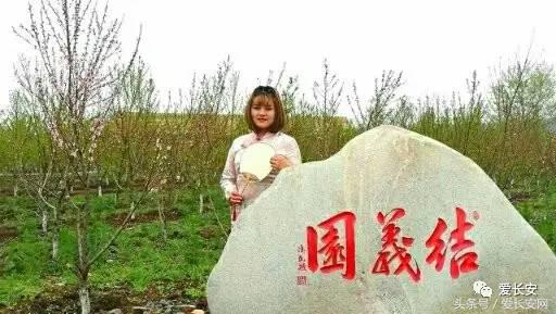 旅游：你知道西安城南的桃花岛、桃花庵在哪里吗？