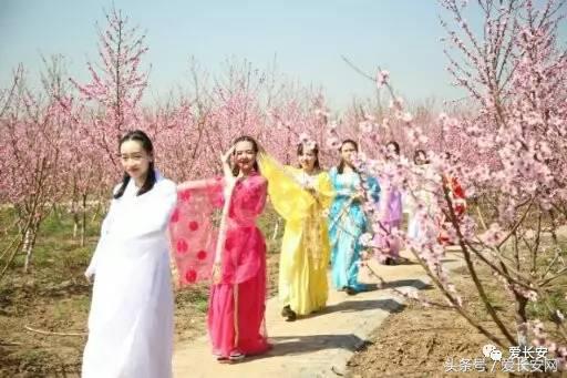 旅游：你知道西安城南的桃花岛、桃花庵在哪里吗？