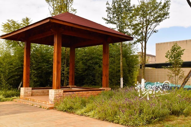 校园资讯开头,校园资讯栏目