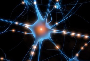 结直肠癌免疫治疗研究获新突破,免疫修复蛋白缺失型结直肠癌