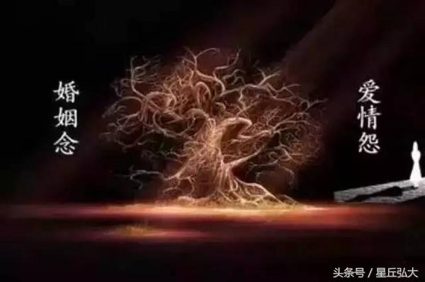 1986年属虎人：八字旺夫命，感情有波折