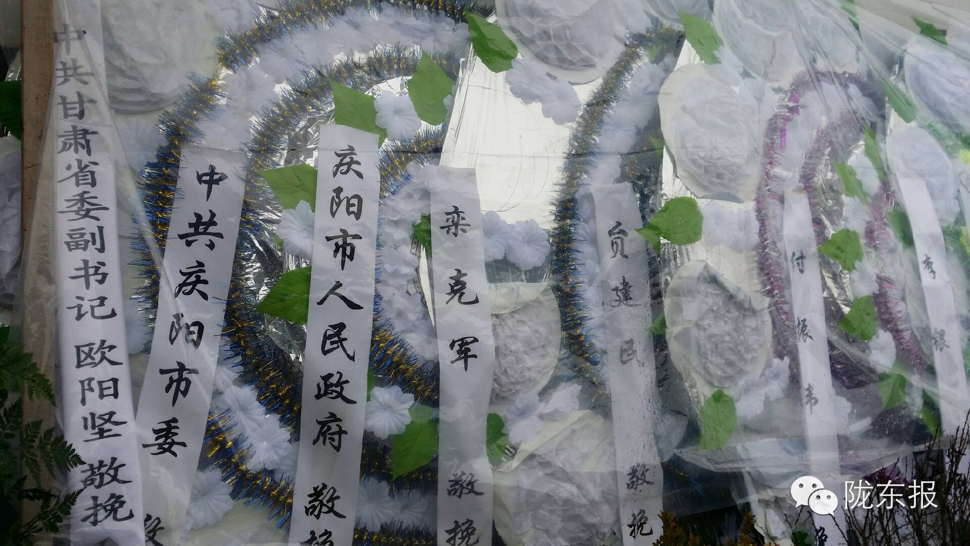 合水大善人企业家李杰,见义勇为李杰后续报道