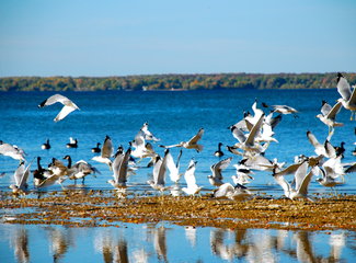 美西自驾游11日攻略,美加旅行视频大全