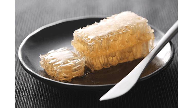 尝一口便是春天的味道,尝一口歌曲