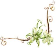 上海高铁到黄山4日游攻略,上海高铁到黄山旅行攻略