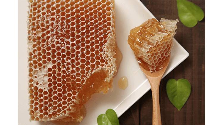 尝一口便是春天的味道,尝一口歌曲