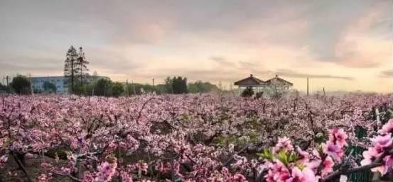 常州春游经典地点,常州骑行绿道