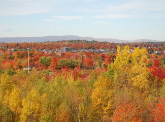 美西自驾游11日攻略,美加旅行视频大全