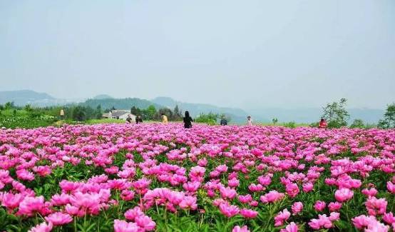 常州春游经典地点,常州骑行绿道