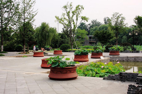 常州春游经典地点,常州骑行绿道