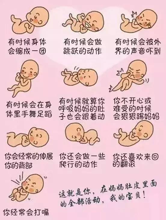 准妈妈必会技能！胎动的小秘密，你知道吗？