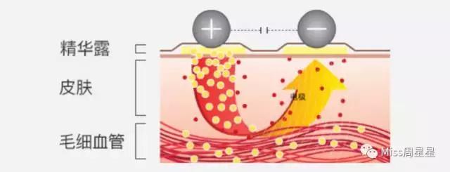 雅萌提拉紧致美容仪使用方法,雅萌美容仪深层清洁