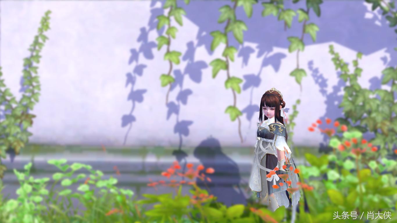 剑网三长歌莫问和相知什么区别,剑网3苍山洱海银弓如月