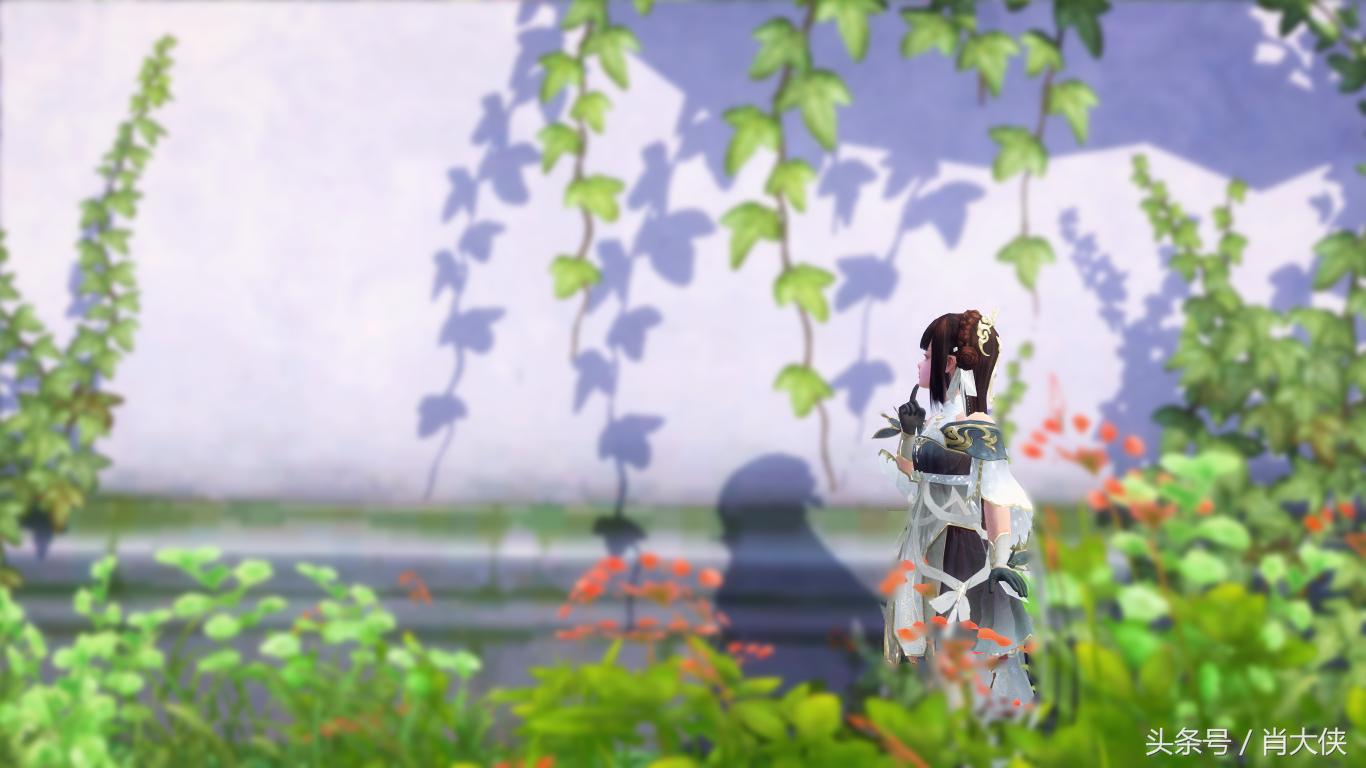 剑网三长歌莫问和相知什么区别,剑网3苍山洱海银弓如月