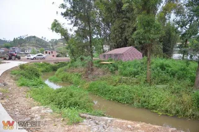 宜宾屏山蓝莓基地采摘园在哪,宜宾蓝莓采摘基地多久可以摘