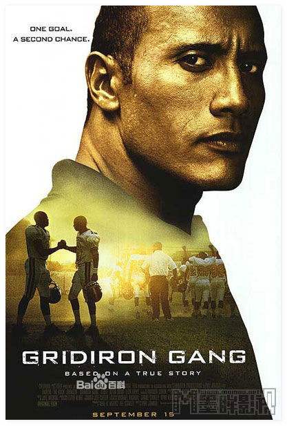 十部最好看的体育电影,体育彩票电影