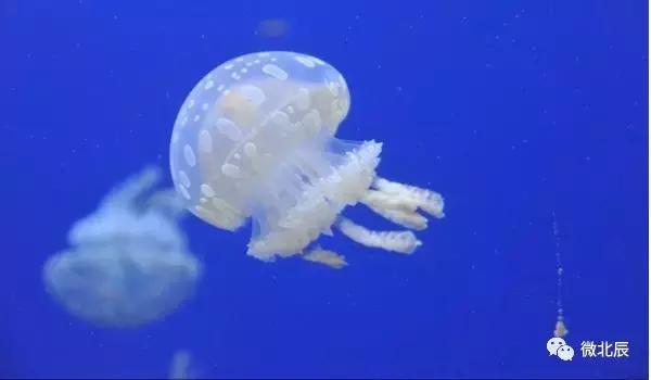 五一活动游玩,天天活动丰富多彩