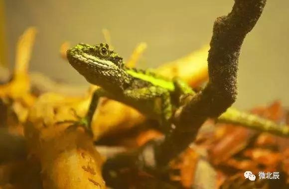 五一活动游玩,天天活动丰富多彩