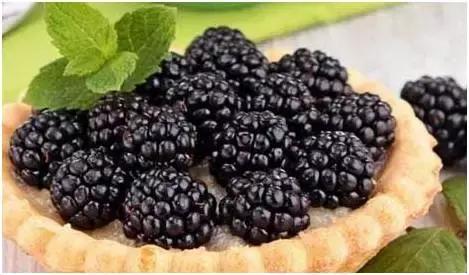 合肥野果治百病,哪些野果吃了最好吃呢