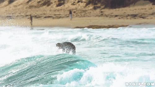 太挤了五一假期各景点现状,5天小长假适合去哪玩
