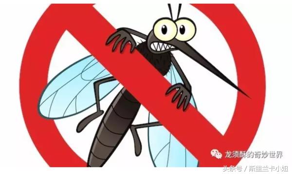 给宝宝驱蚊用什么安全又有效,如何给宝宝选择驱蚊产品