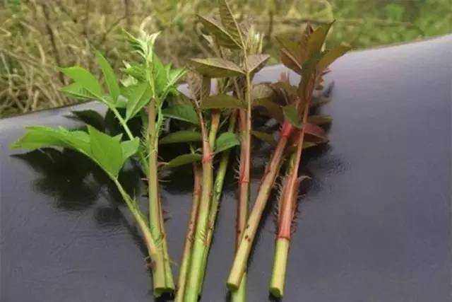 地道小吃童年味道,什么样的美食叫怀旧美食