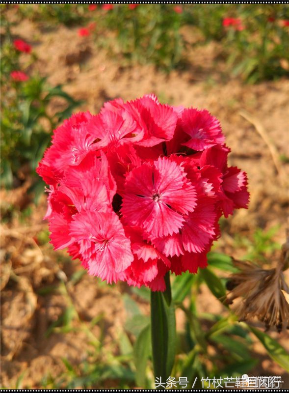 东莞隐贤山庄避坑,现在的东莞隐贤山庄是什么样的