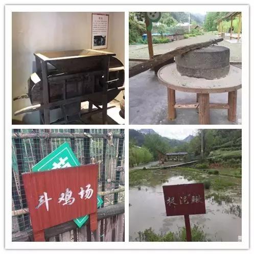 重庆农家乐旅游攻略,重庆农家乐旅游推荐