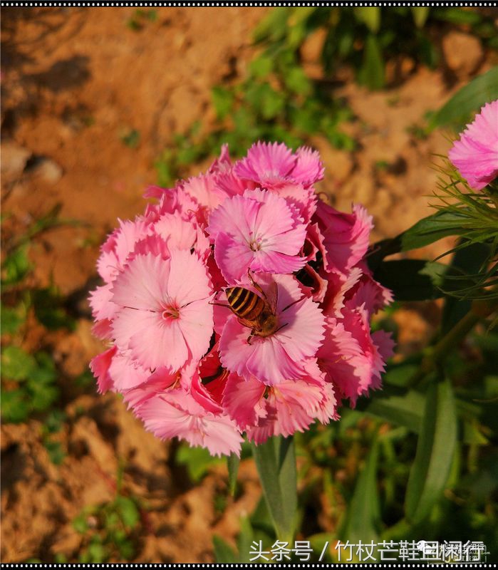 东莞隐贤山庄避坑,现在的东莞隐贤山庄是什么样的