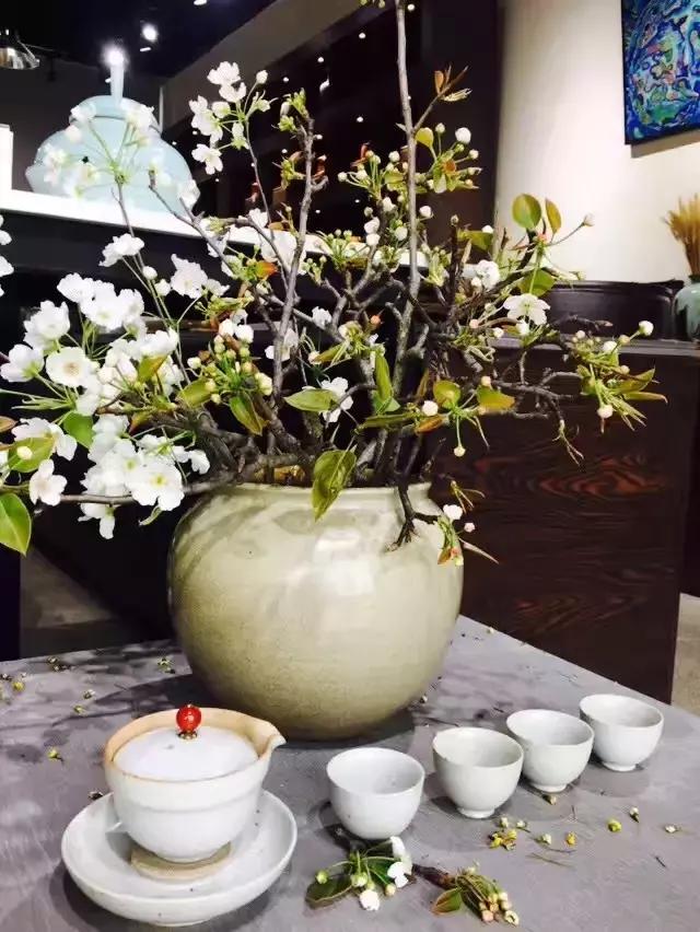 德阳低碳出行周边旅游民宿推荐,德阳好耍的民宿推荐