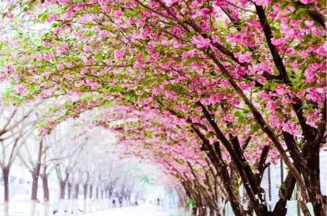 大西安真正的美景,大西安临潼