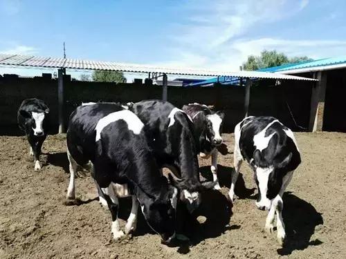 2016-2018年农产品市场需求,2024农产品市场数据分析报告