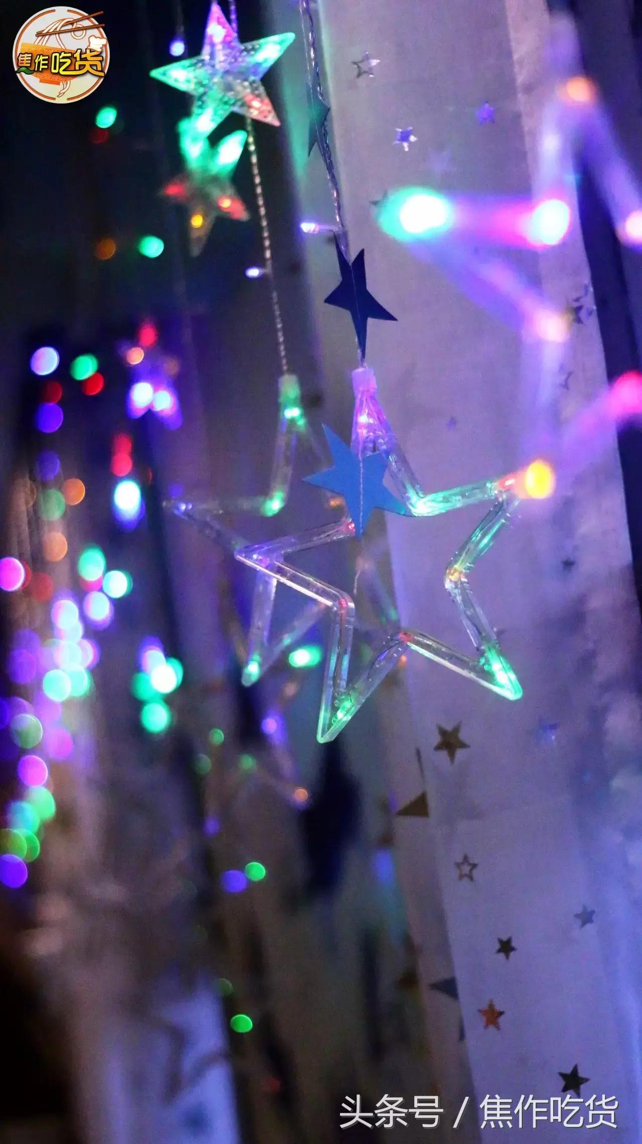 焦作推荐猫咖,焦作新区猫咖