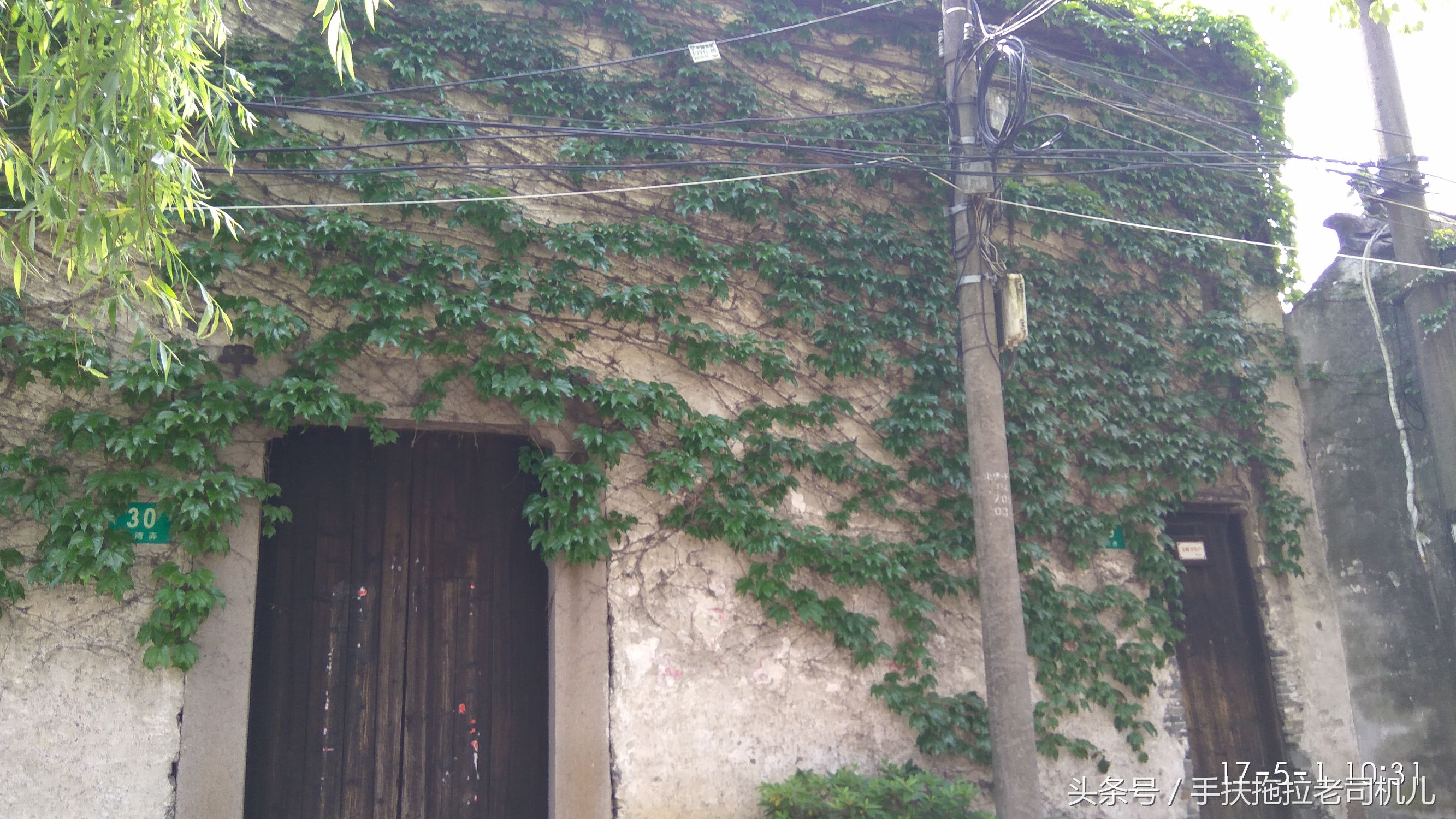 金山枫泾古镇地图,金山枫泾古镇好玩吗值得去吗