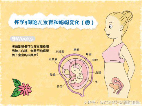 防辐射孕妇服怀孕初期,孕妈防辐射服