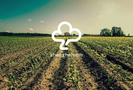 创业的最佳时机,农村创业的十大机会